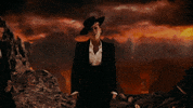 Dave Meyers GIF by P!NK