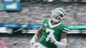 Ny Jets Football GIF by New York Jets
