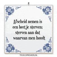 Humor Nl GIF by Tegelspreuken.nl