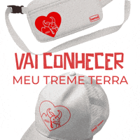 Festival Garantido GIF by Lojas Bemol