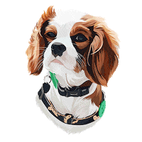 dogs puppy Sticker by Izzy + Otis