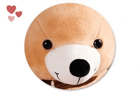 Peluche-Kingdom giphygifmaker giphyattribution GIF