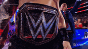 Wwe Wrestler GIF by USA Network