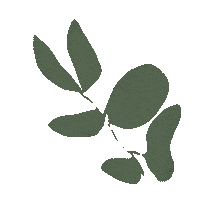 meganstclair_ relax peace plant calm Sticker