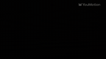 Logo Bumper Transition