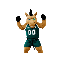 Bronco Sticker by SUNY Delhi