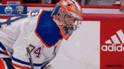 Stanley Cup Playoffs Hockey GIF by NHL