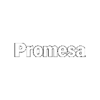 Promesaecuador Sticker by Promesa