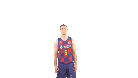 Fc Barcelona Basketball Sticker by ACB