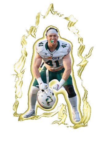 DolphinsAncona giphyupload football beast american football Sticker
