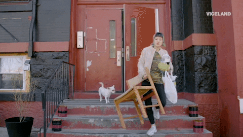 dog moving GIF by HOLLYWOOD LOVE STORY