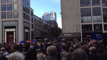 Largest Turnout Yet for German Pro-EU Protest Movement