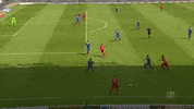 1 fc cologne football GIF by 1. FC Köln
