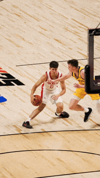 Houston Lakers GIF