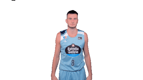 Liga Endesa Basketball Sticker by ACB