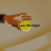 Pickleball Gamma GIF