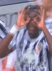 Celebrate Ac Milan GIF by Ascoli Calcio 1898