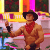 Cowboy Hat GIF by slicedbread