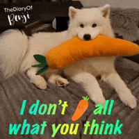 Joke Idc GIF