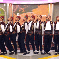 Happy Dance GIF by TRT