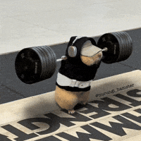 Workout Gym GIF