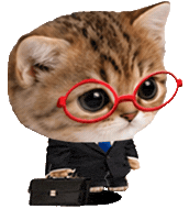 Cat Yes Sticker