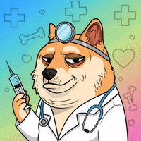 Shiba Inu Doctor GIF by Doge Pound