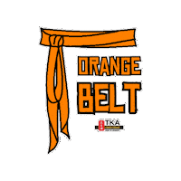 Martial Arts Artes Marciais Sticker by TKA Kung Fu