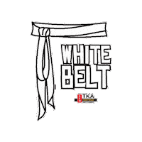 Martial Arts Artes Marciais Sticker by TKA Kung Fu