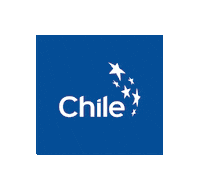Sticker by ProChile