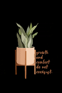 skyecamryndesigns vintage aesthetic positive plant GIF