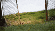 hiiiiii GIF