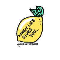 life girls Sticker by Ivo Adventures
