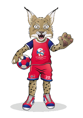 Ehfeuro2020 Sticker by EHF
