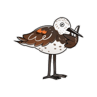 Bird 鳥 Sticker