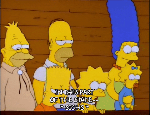 homer simpson GIF