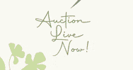 Auction Maggies GIF by The Magdalen House