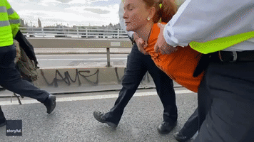 'I'm Doing It for My Son': Climate Protester Talks to Camera as Police Carry Her Off Bridge