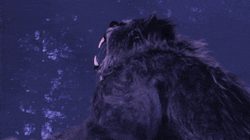 Van Helsing Wolf GIF