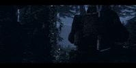 action fps call of duty shooter modern warfare GIF