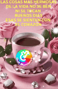 Amigos Buenos Dias GIF by Murcianys LLC