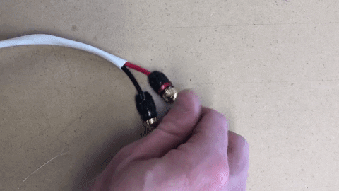 ntwallace giphygifmaker GIF