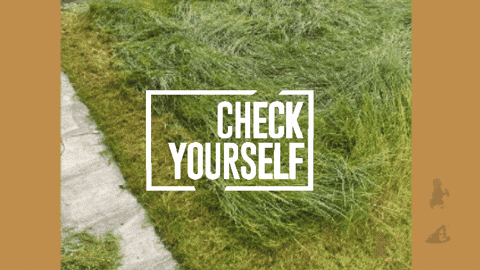 Animation Approve GIF by DannyDidit LTD