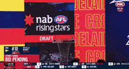 GIF by AFL