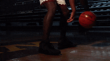 Pearl River Basketball GIF by Pearl River Athletics