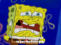 season 4 episode 10 GIF by SpongeBob SquarePants