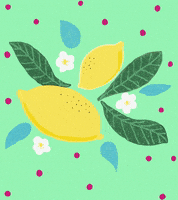 Lemons GIF by Daisy Lemon
