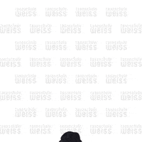GIF by Tanzschule Weiss