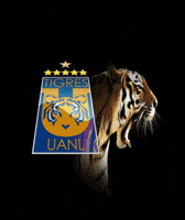 Liga Mx Tigres GIF