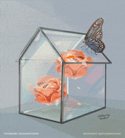 rose love GIF by Ordinary Nadee
